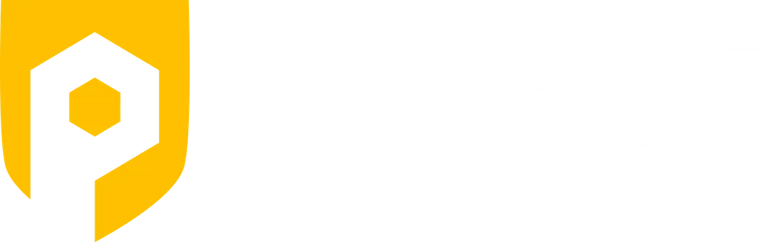 PletX Premium DDoS Protection
